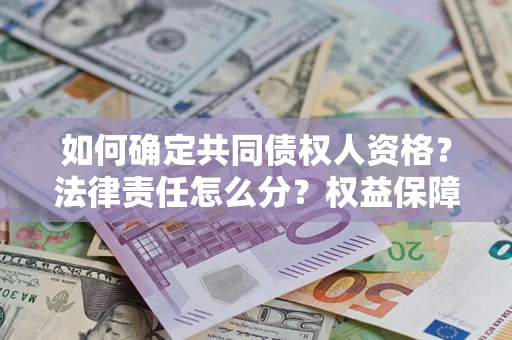 北京如何确定共同债权人资格？法律责任怎么分？权益保障技巧揭秘！