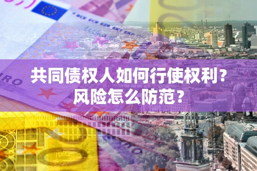 北京共同债权人如何行使权利？风险怎么防范？
