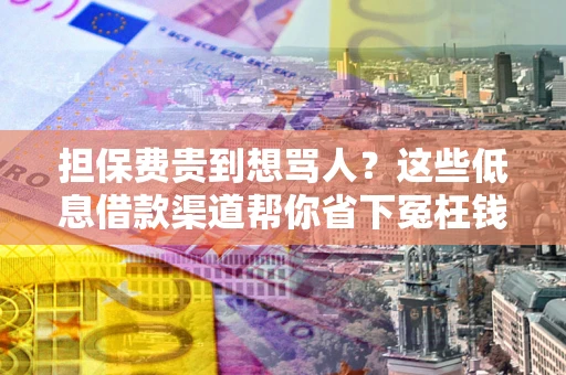 北京担保费贵到想骂人？这些低息借款渠道帮你省下冤枉钱