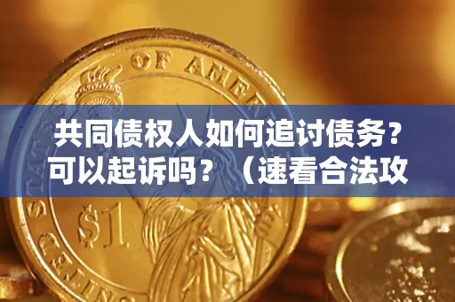 北京共同债权人如何追讨债务？可以起诉吗？（速看合法攻略）