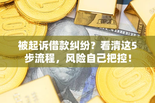 北京被起诉借款纠纷？看清这5步流程，风险自己把控！