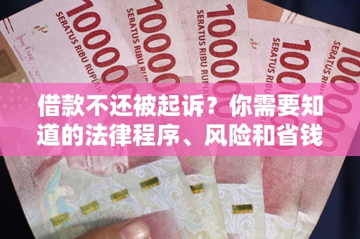 北京借款不还被起诉？你需要知道的法律程序、风险和省钱技巧