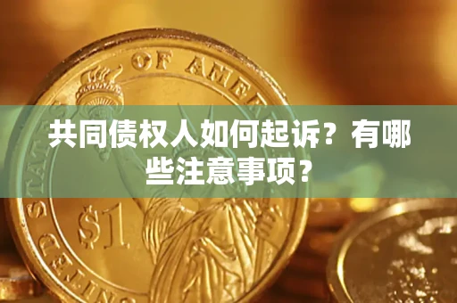 北京共同债权人如何起诉？有哪些注意事项？